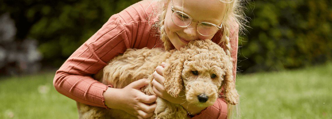 Puppy socialiseren Puppy socialiseren